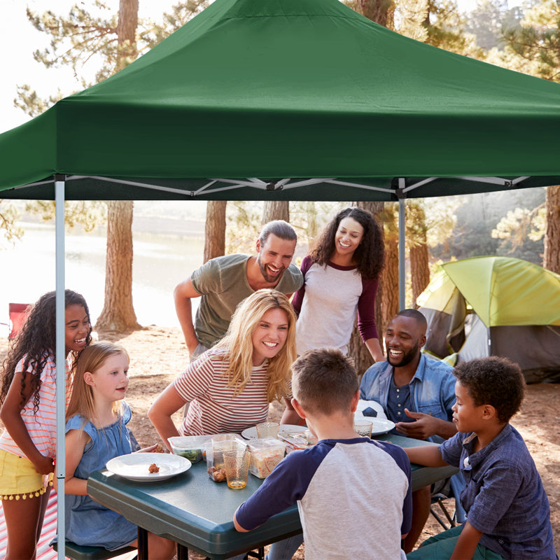 HIO Commercial 10 Ft. W x 10 Ft. D Steel Pop Up Canopy Reviews Wayfair